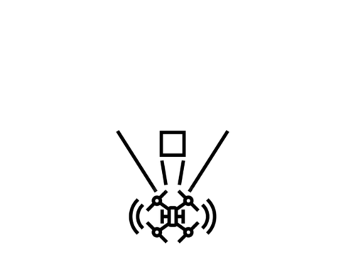 Autonomous Flight & Object Detection