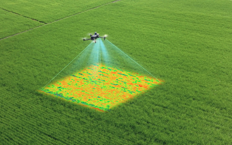 Multispectral Imaging