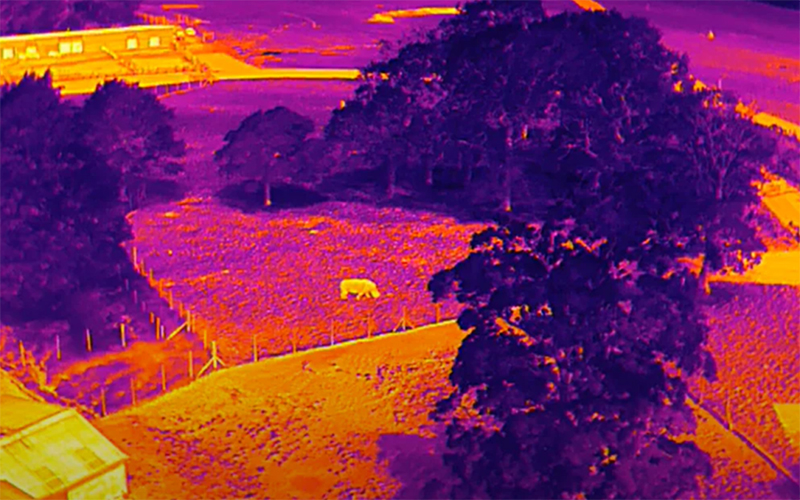 Thermal Imaging
