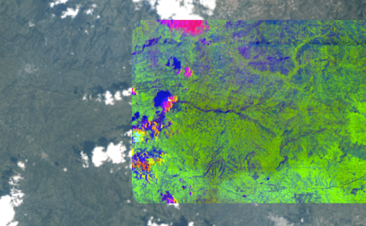 Hyperspectral Imaging